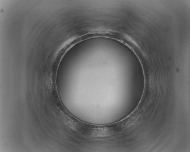 X0000062881315200601201809