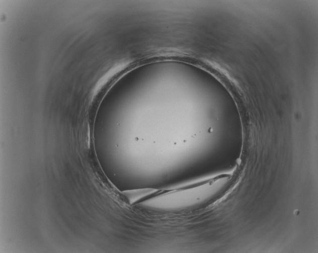 X0000062881317200601201809