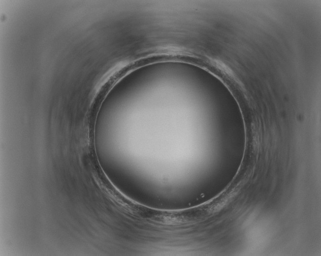 X0000062881318200601201809