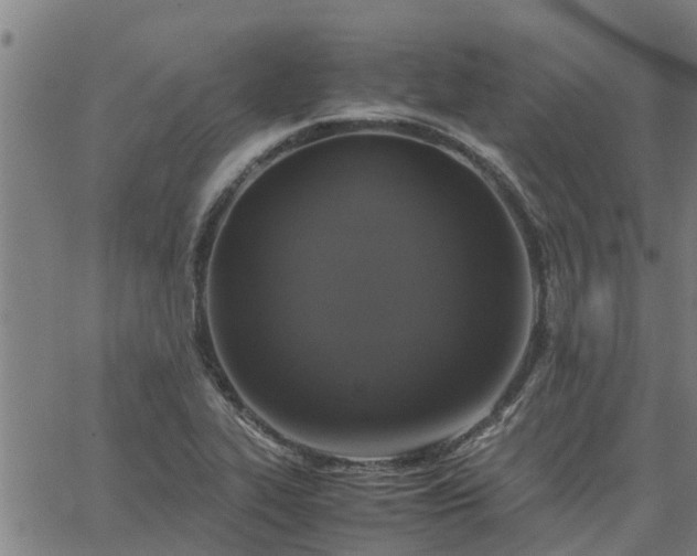 X0000062881319200601201810