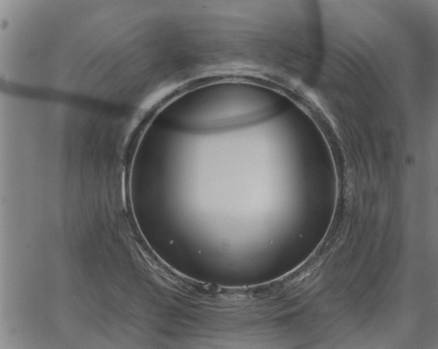 X0000062881320200601201810