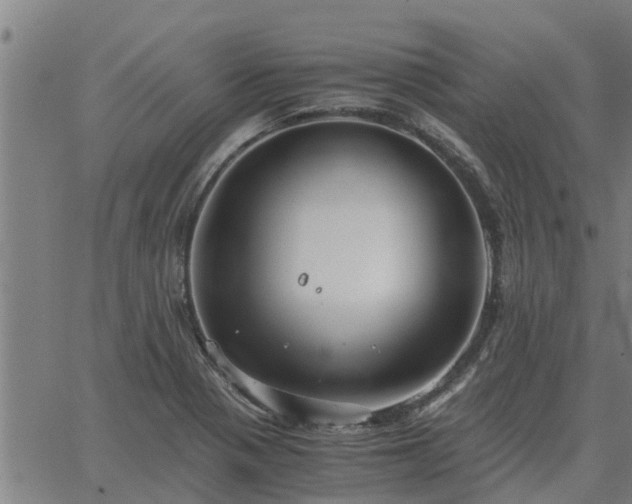 X0000062881321200601201810