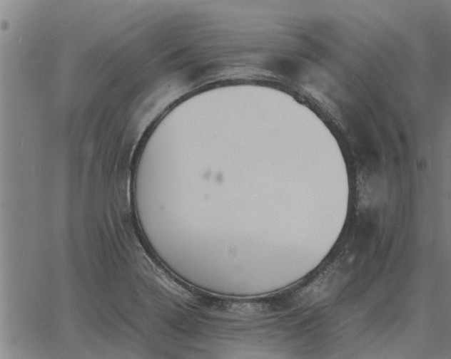 X0000062881322200601201810