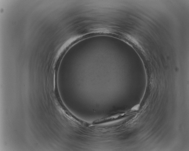 X0000062881323200601201810