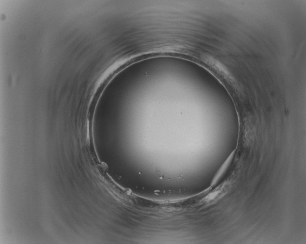 X0000062881324200601201810