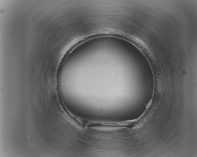 X0000062881326200601201810