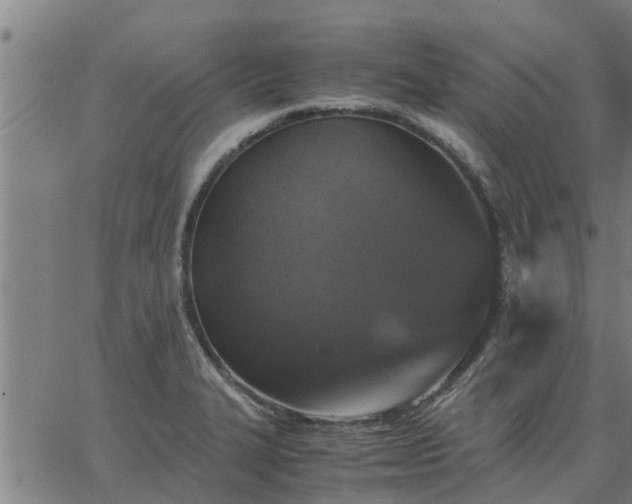 X0000062881327200601201810