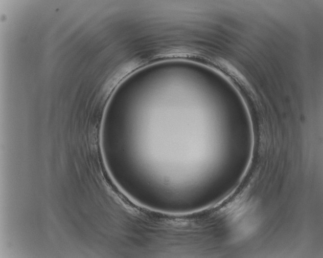 X0000062881329200601201810