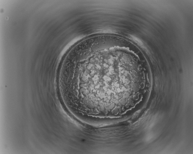 X0000062881331200601201810