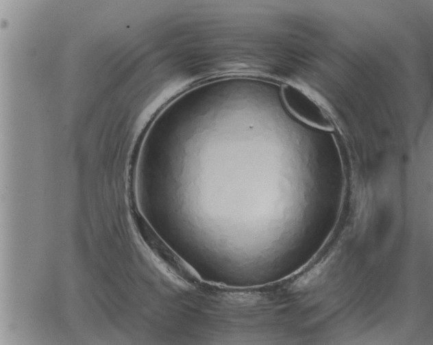 X0000062881333200601201810