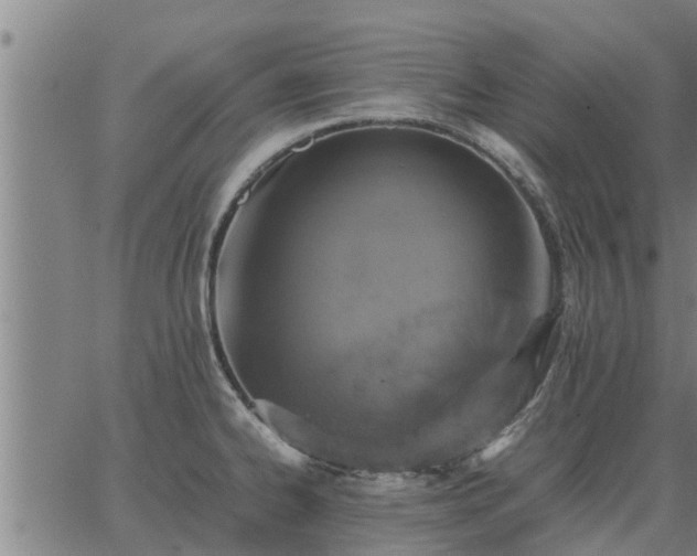 X0000062881334200601201810