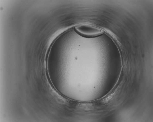 X0000062881335200601201810