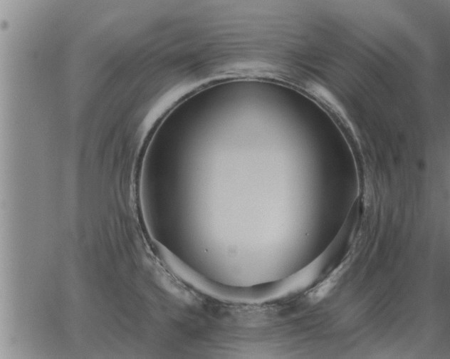 X0000062881336200601201810