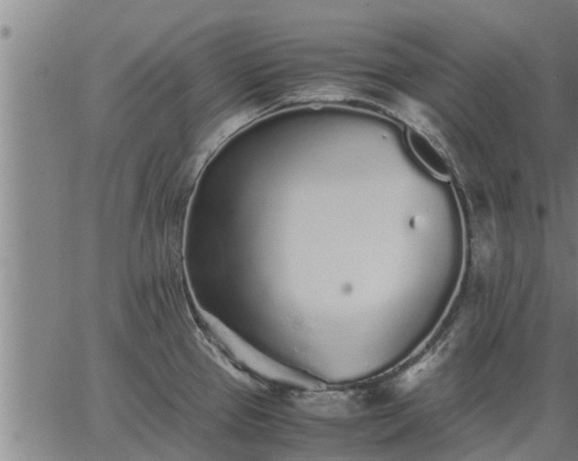 X0000062881337200601201810