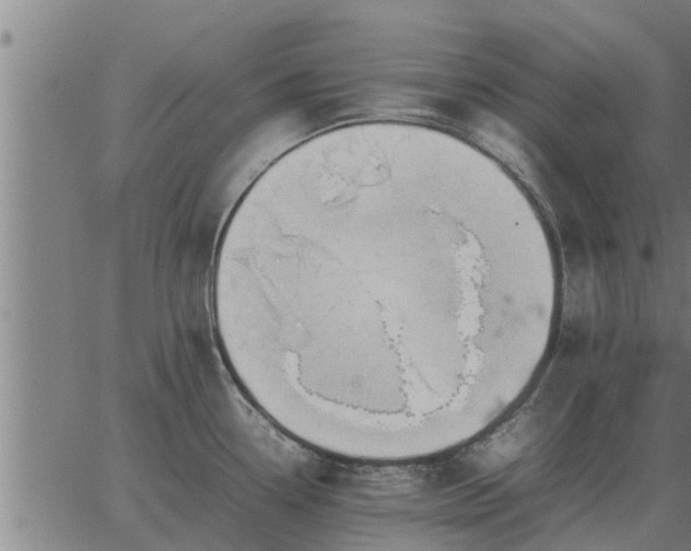 X0000062881338200601201810