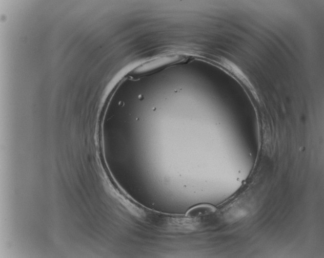 X0000062881339200601201810