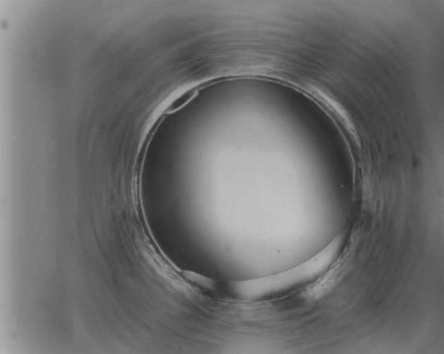 X0000062881340200601201810