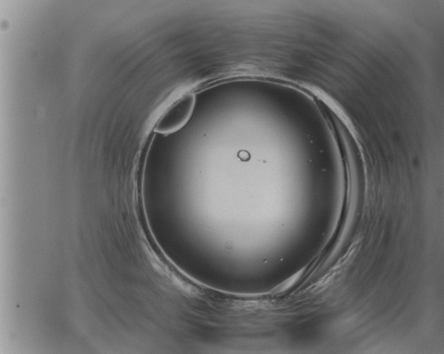 X0000062881341200601201810