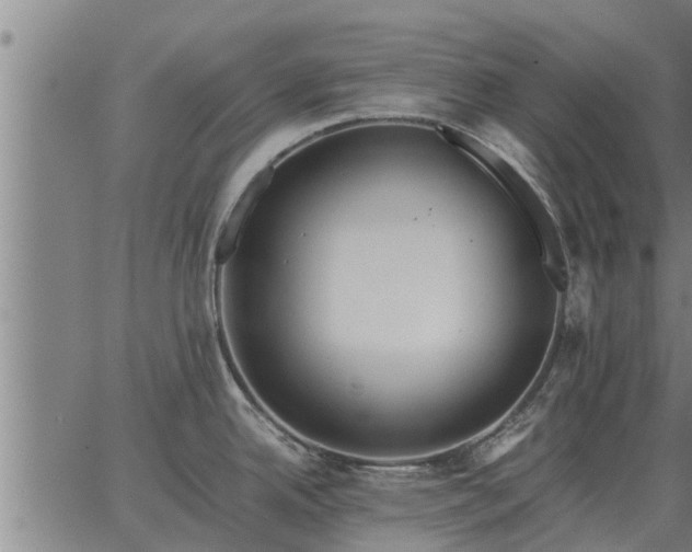 X0000062881342200601201810