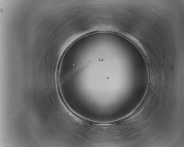 X0000062881343200601201810