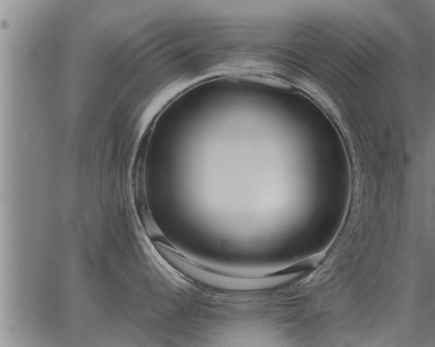 X0000062881344200601201810