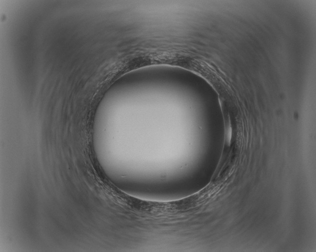 X0000062881345200601201809