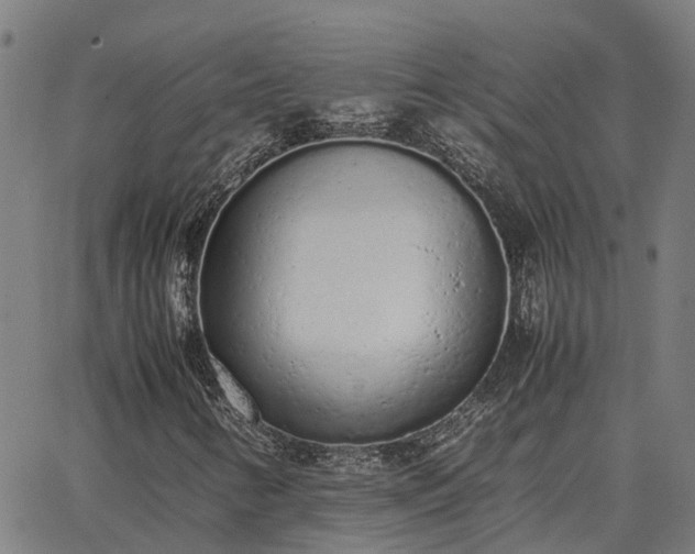 X0000062881346200601201809