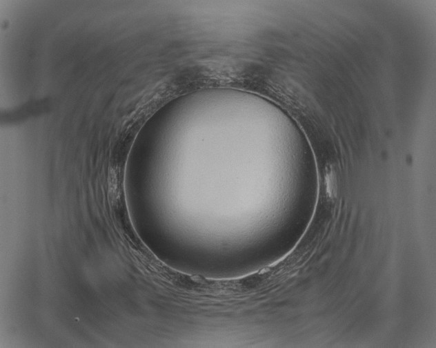 X0000062881347200601201809