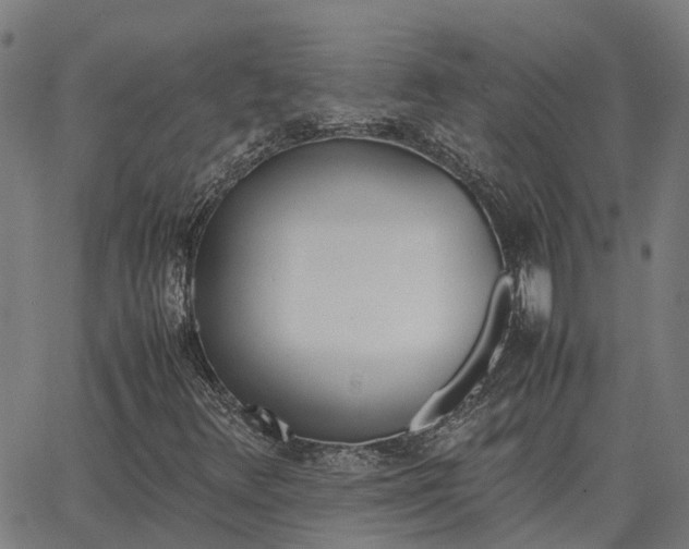 X0000062881348200601201809