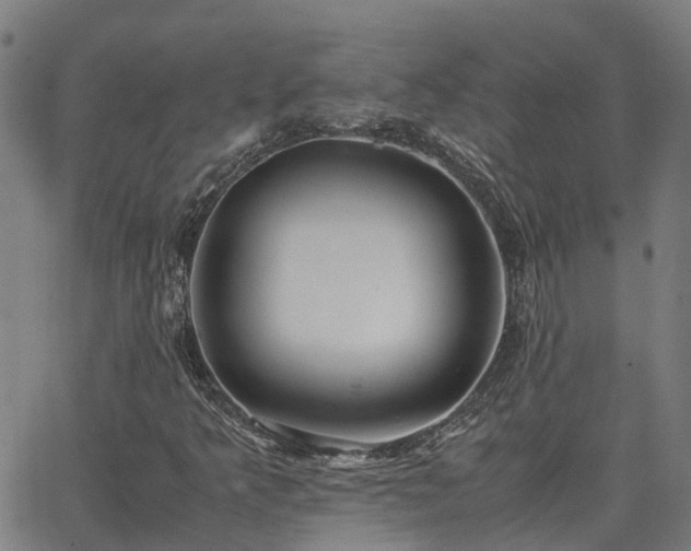 X0000062881349200601201809