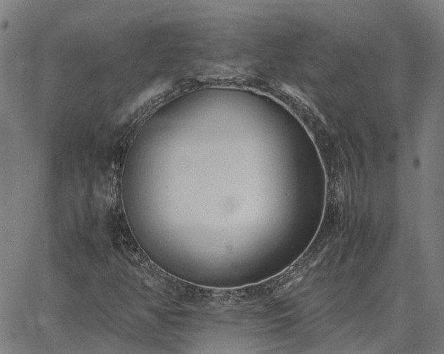 X0000062881350200601201809