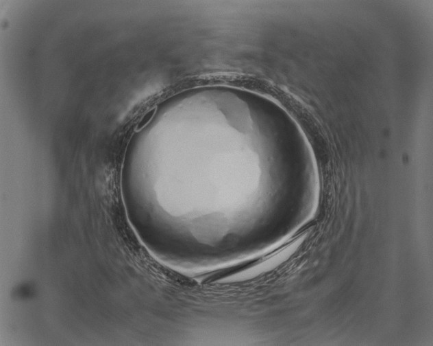 X0000062881351200601201809