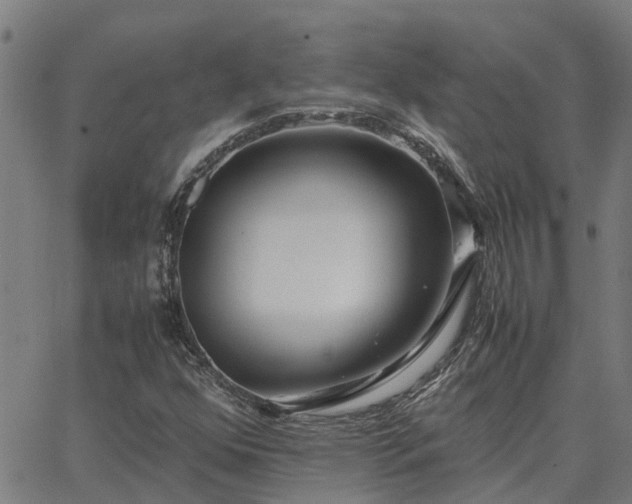 X0000062881352200601201809