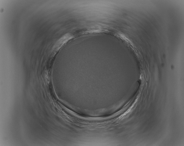 X0000062881353200601201809