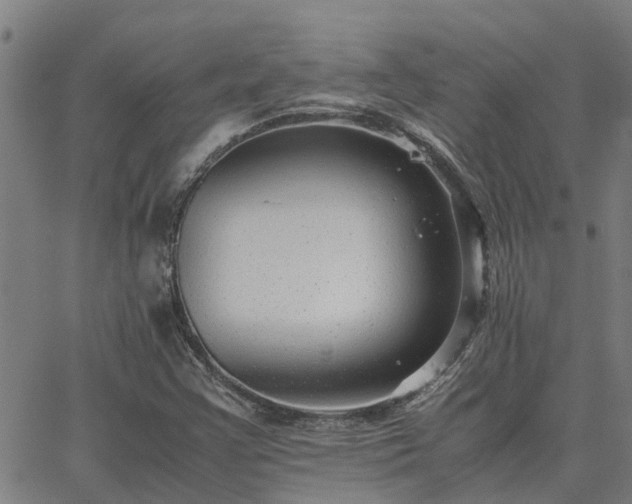 X0000062881355200601201809