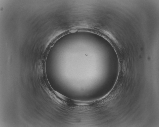 X0000062881356200601201809