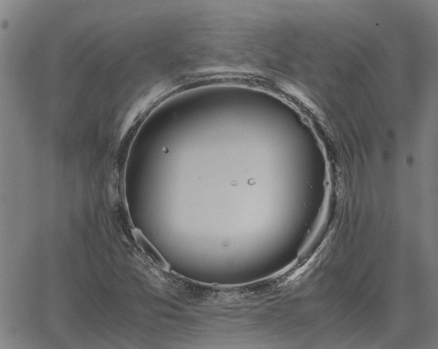 X0000062881357200601201809