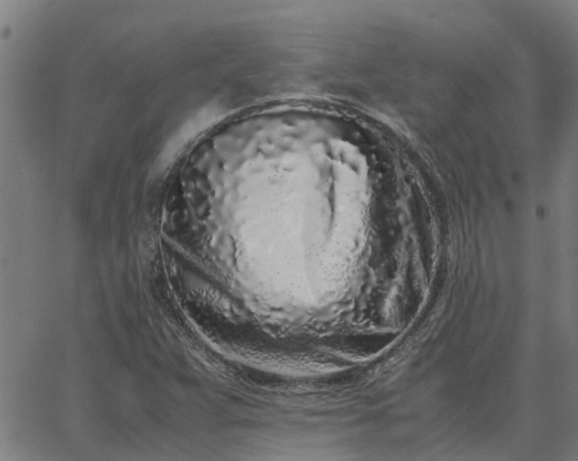 X0000062881359200601201809