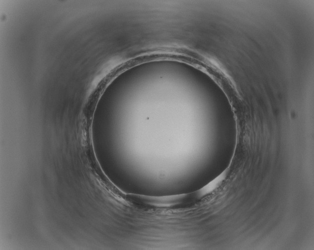 X0000062881360200601201809