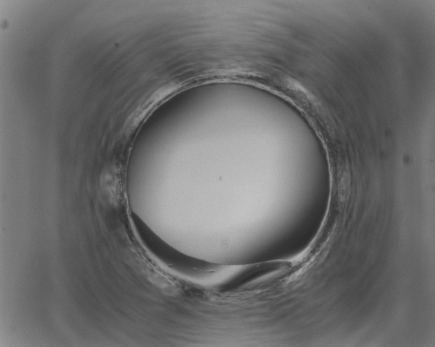 X0000062881361200601201809