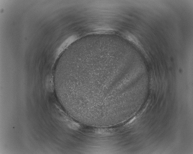 X0000062881362200601201809