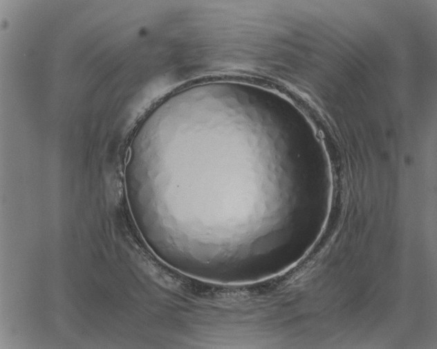 X0000062881363200601201809