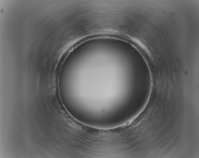 X0000062881364200601201809