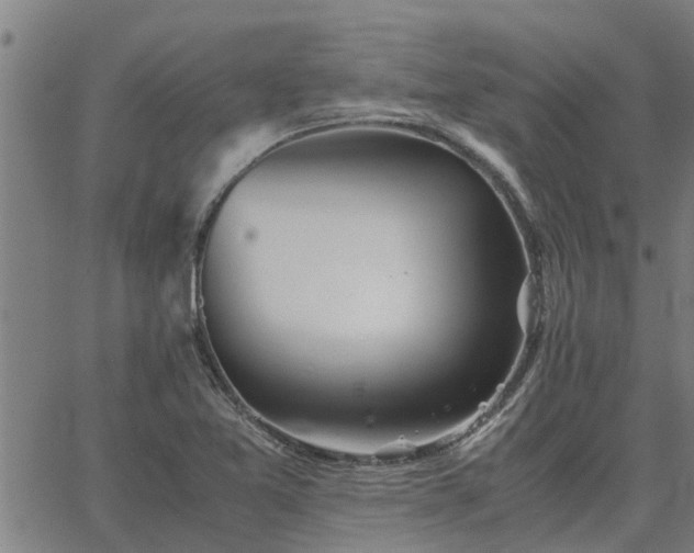 X0000062881365200601201809