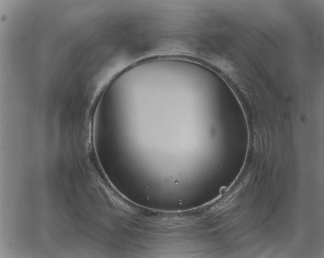 X0000062881366200601201809