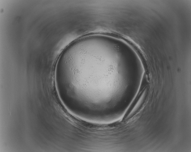 X0000062881367200601201809