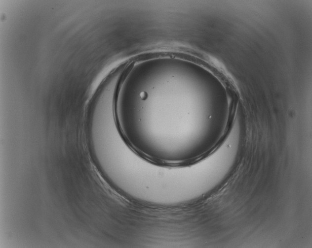 X0000062881368200601201809