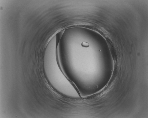 X0000062881369200601201809