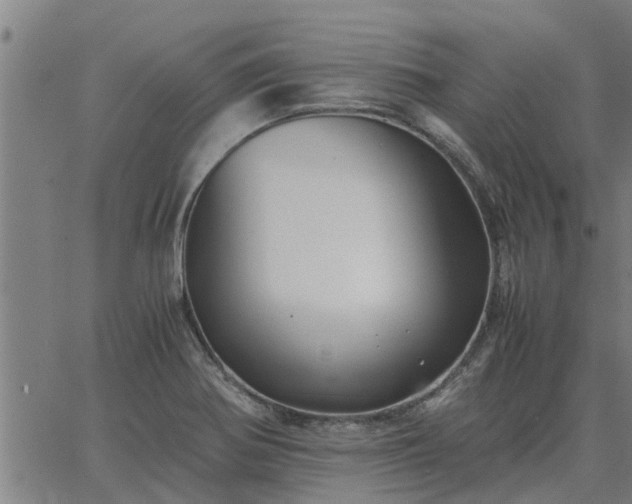 X0000062881370200601201809