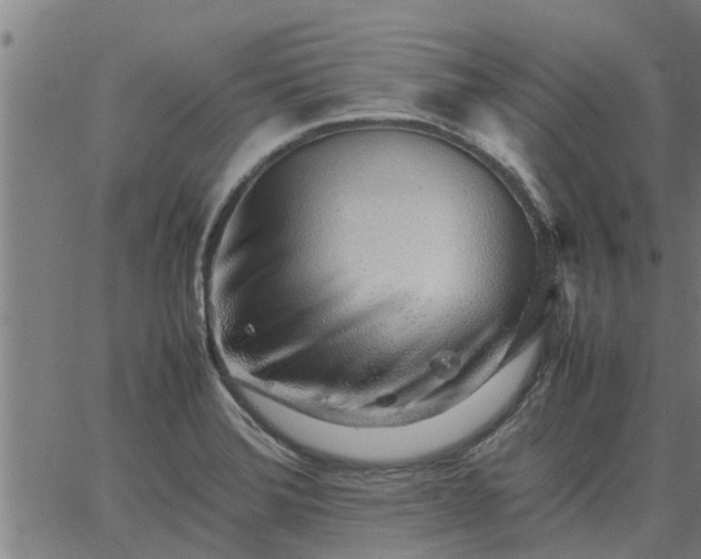 X0000062881372200601201809